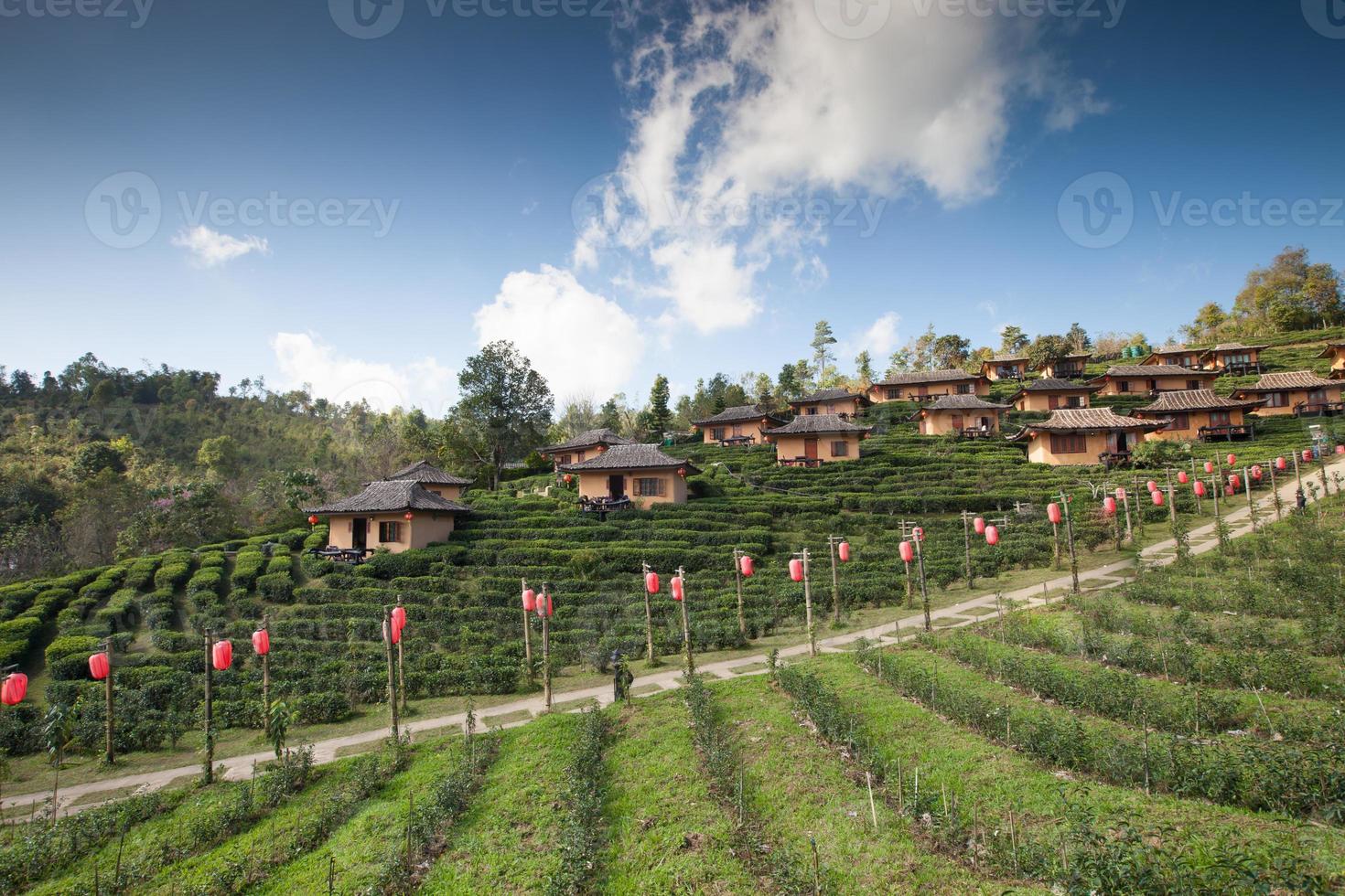 campo de té y un pueblo en una colina. foto