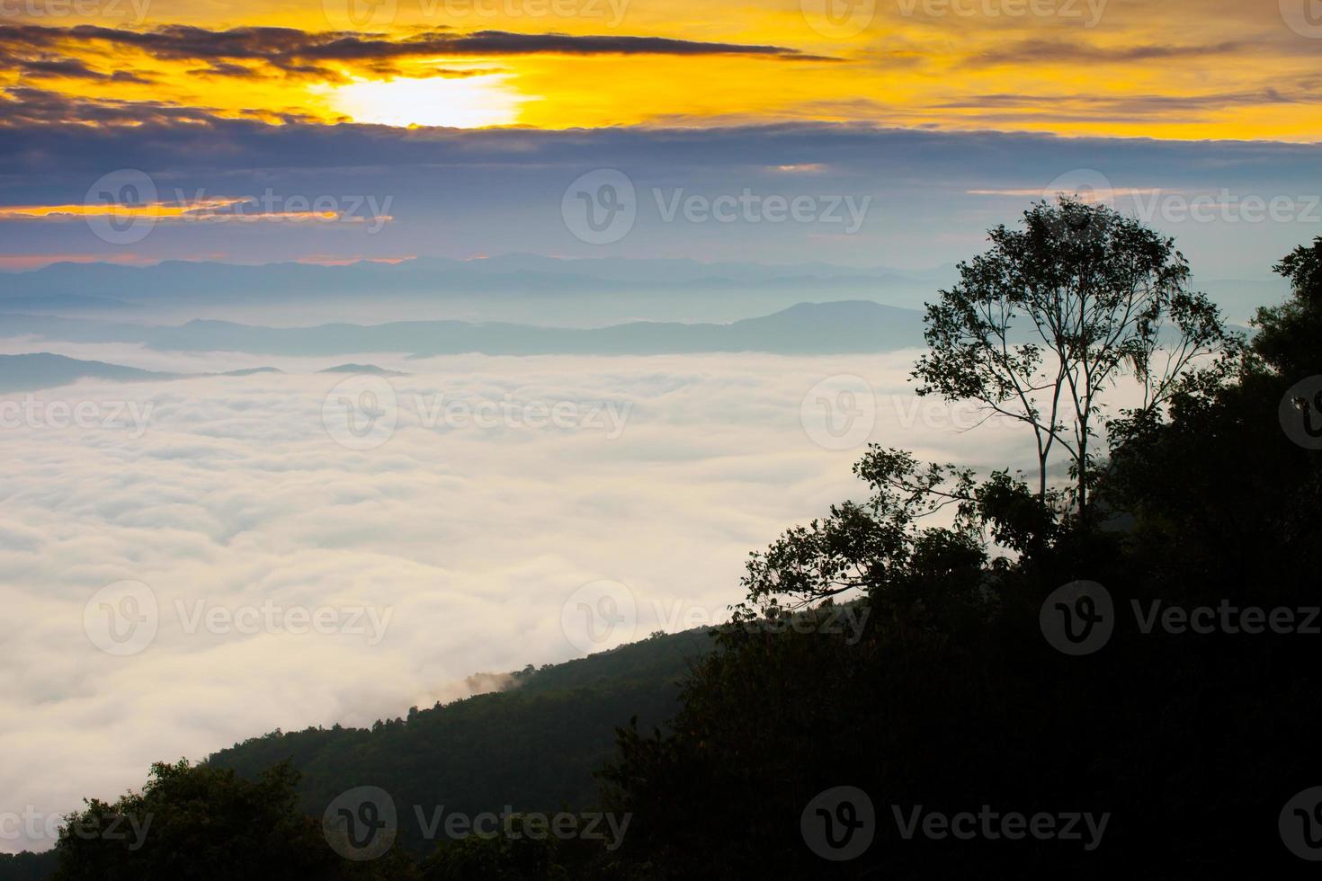 niebla al amanecer foto