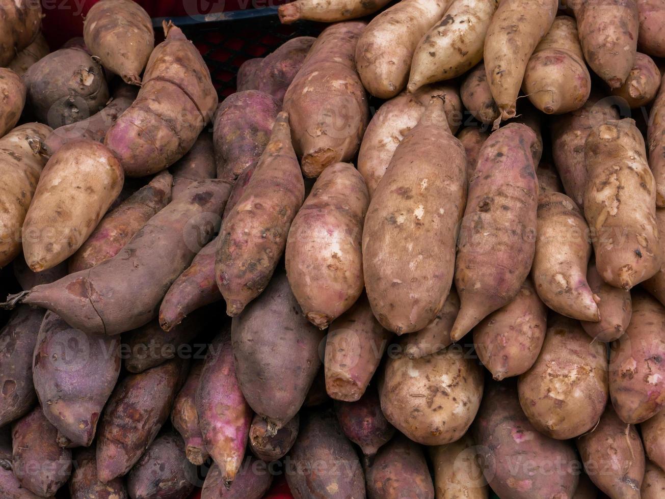 Red sweet potatoes photo