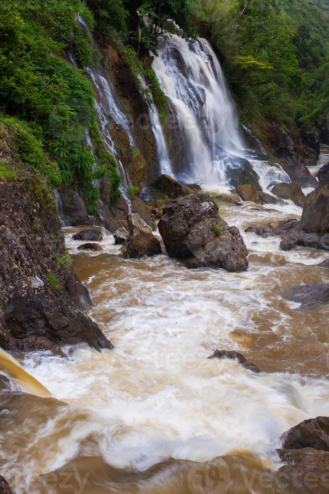 cascada en un bosque foto