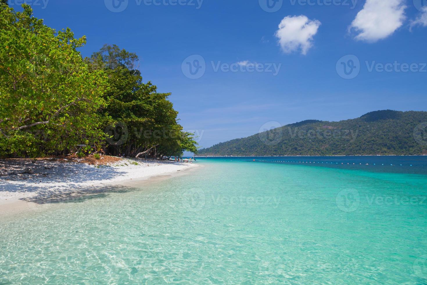Trees on a tropical beach and mountains photo