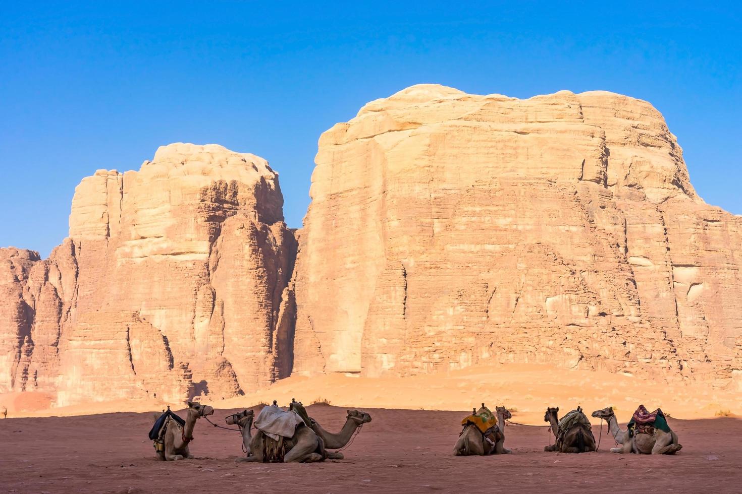 Paisaje desértico con camellos en Wadi Rum, Jordania foto