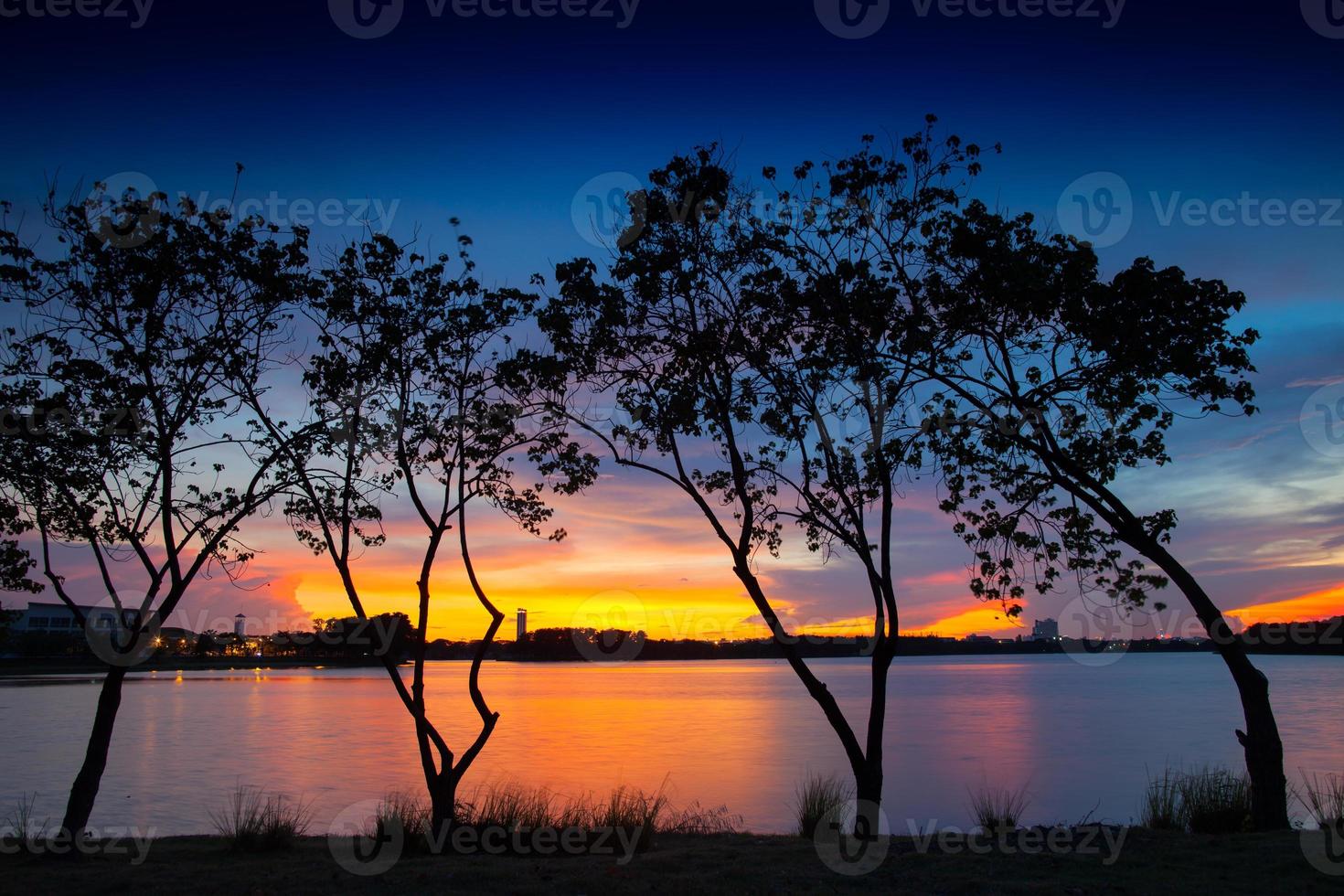 siluetas de árboles al atardecer foto