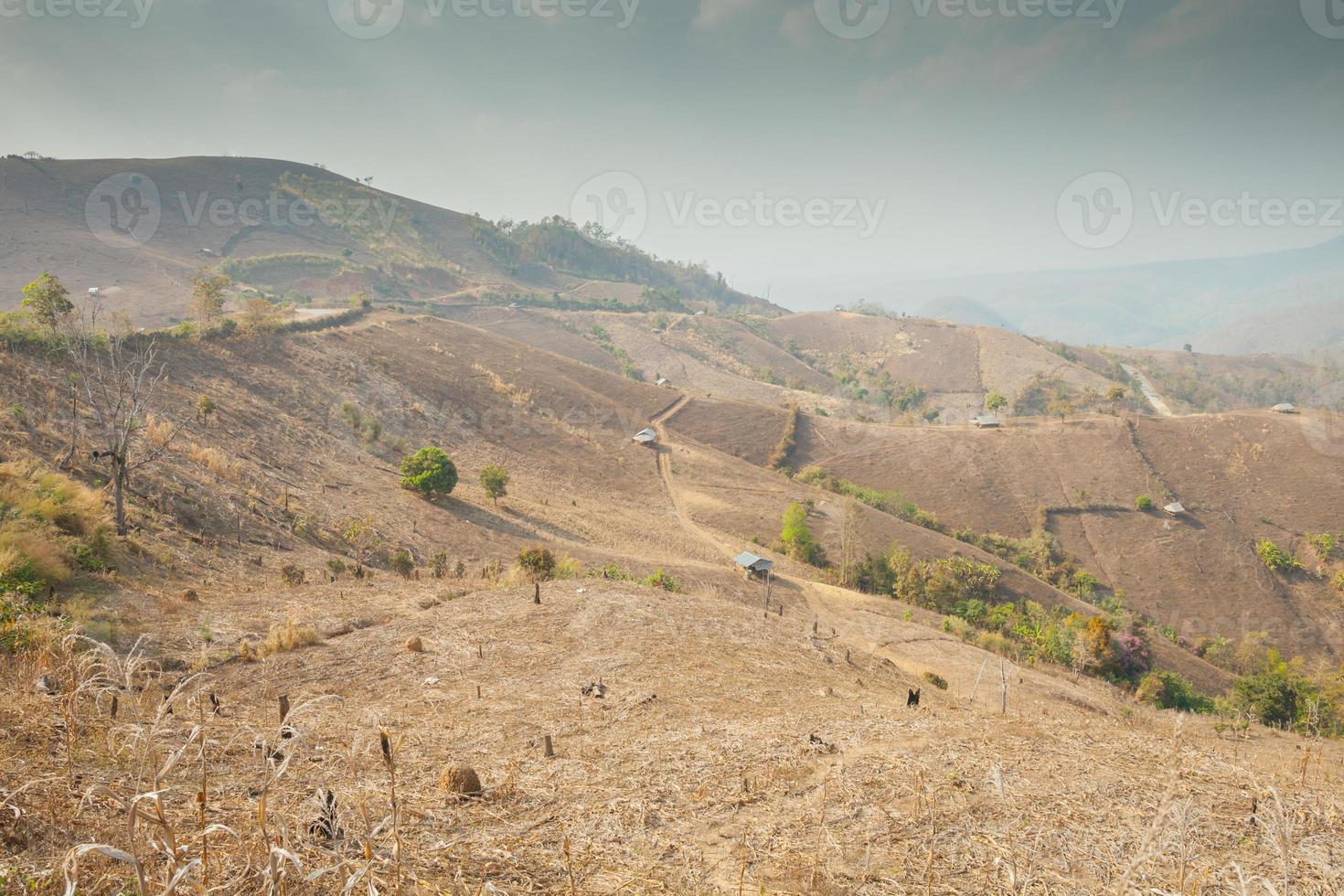 campos en la ladera de una montaña foto