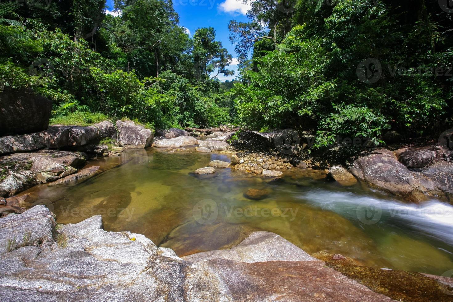 Water in the woods photo