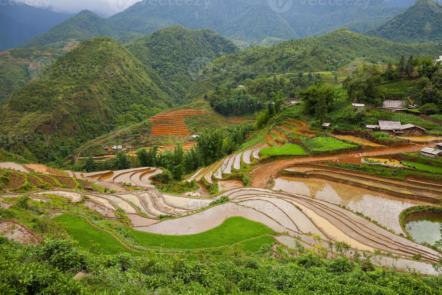 campos de arroz en las montañas foto