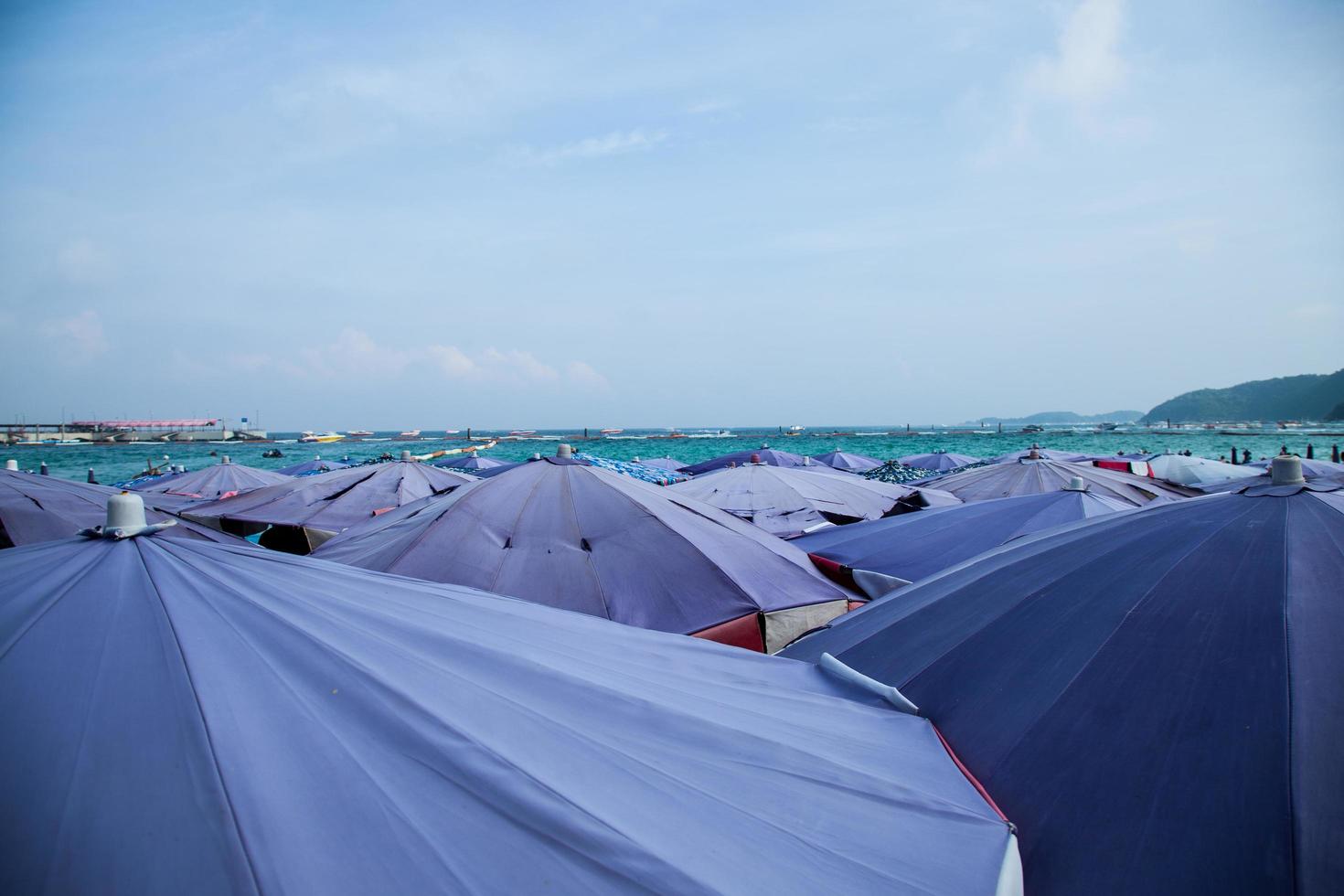 Umbrellas at the beach photo