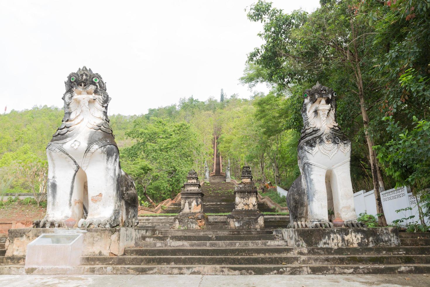 estatuas de leones en las escaleras foto