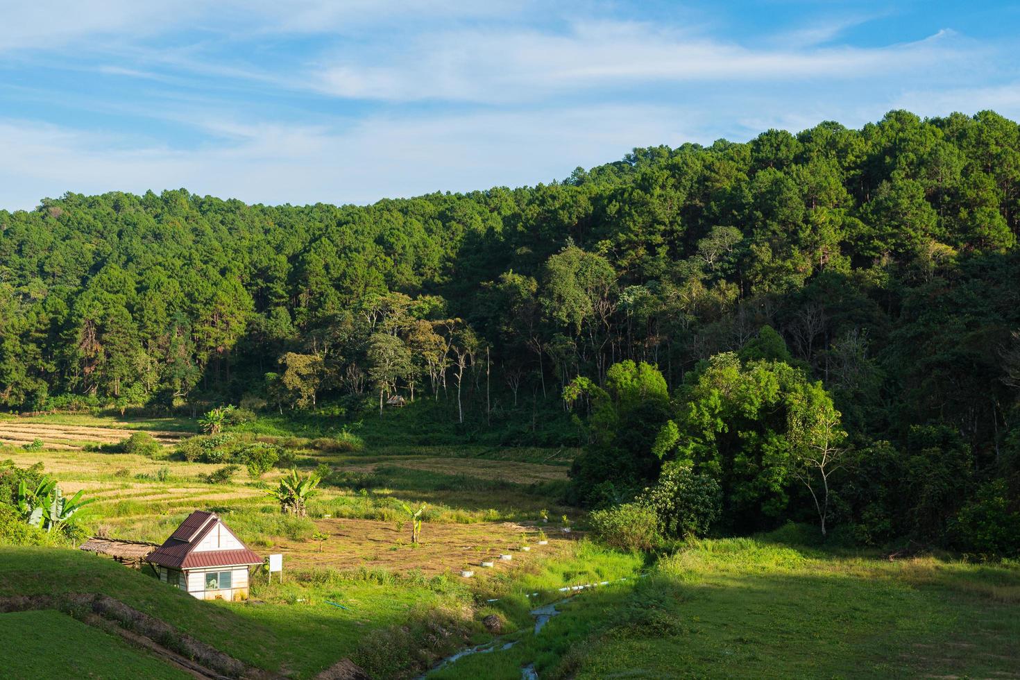 Small house on the lawn in Thailand photo