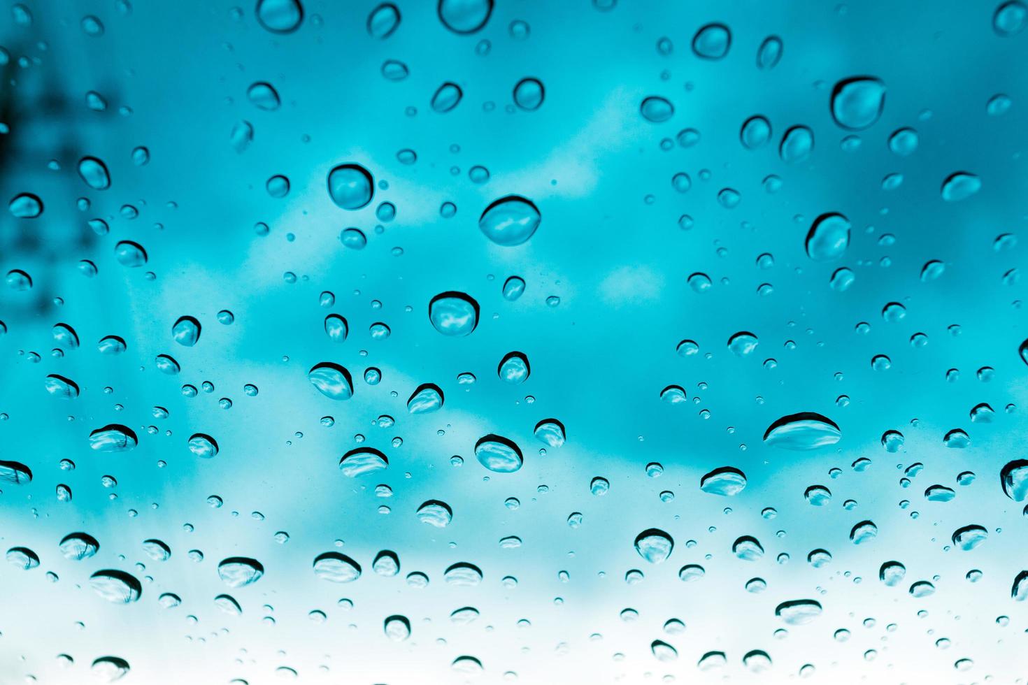 Water drops on blue background photo