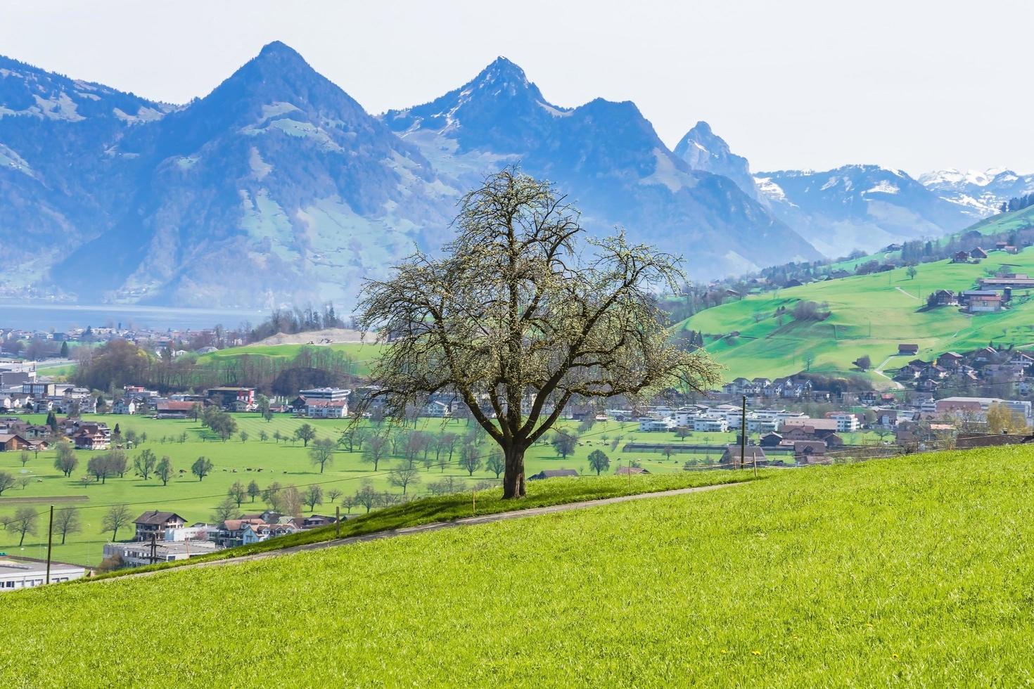 vista de la ciudad de stans en suiza foto