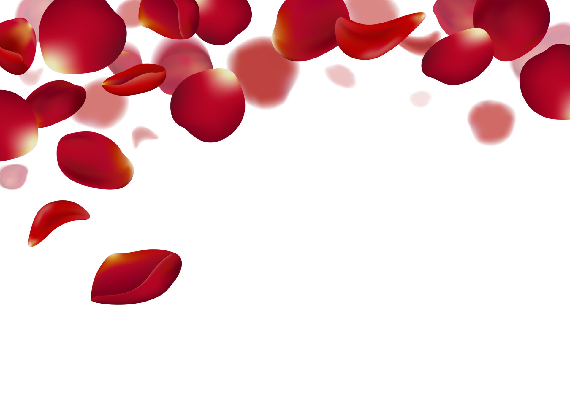 Red Rose Petals Falling On White Background Vector Illustration Download Free Vectors Clipart Graphics Vector Art