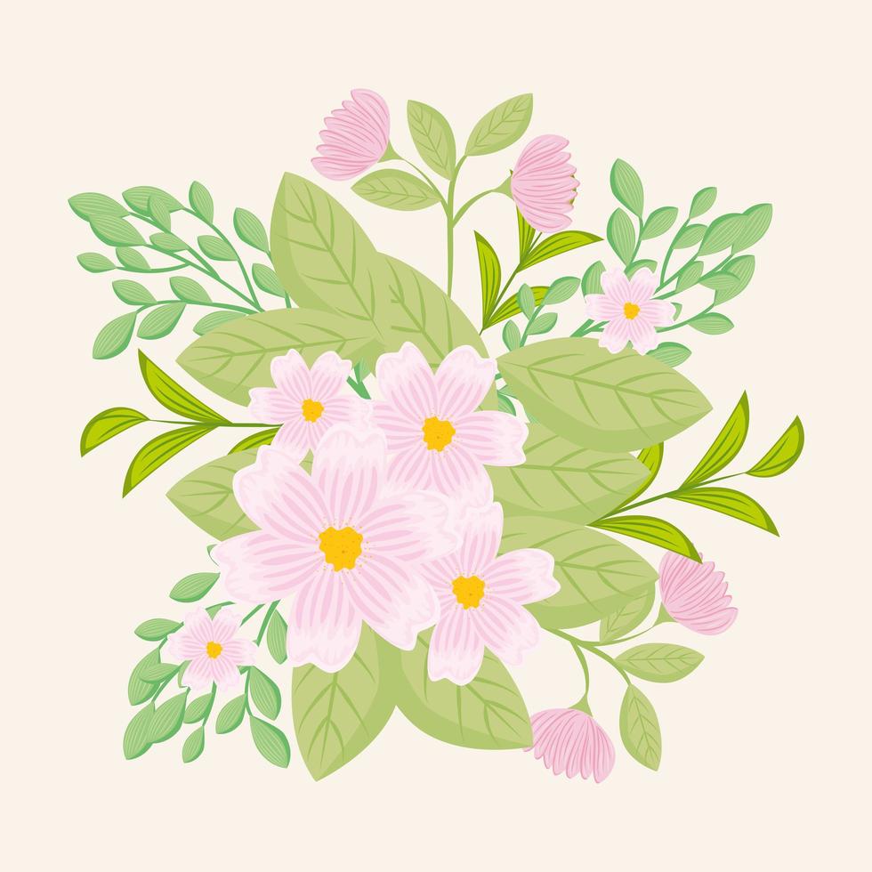 Pink flowers with branches and leaves for nature decoration vector