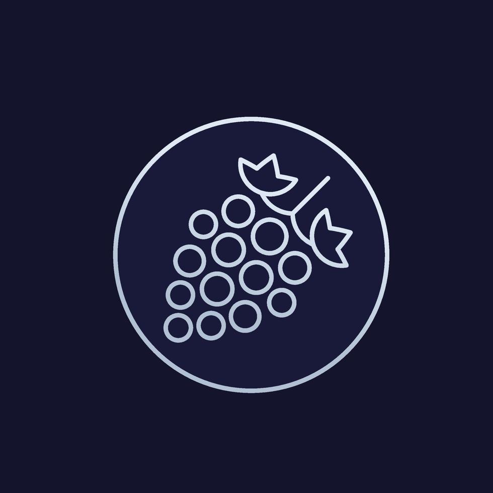 grape or vineyard vector line icon.eps