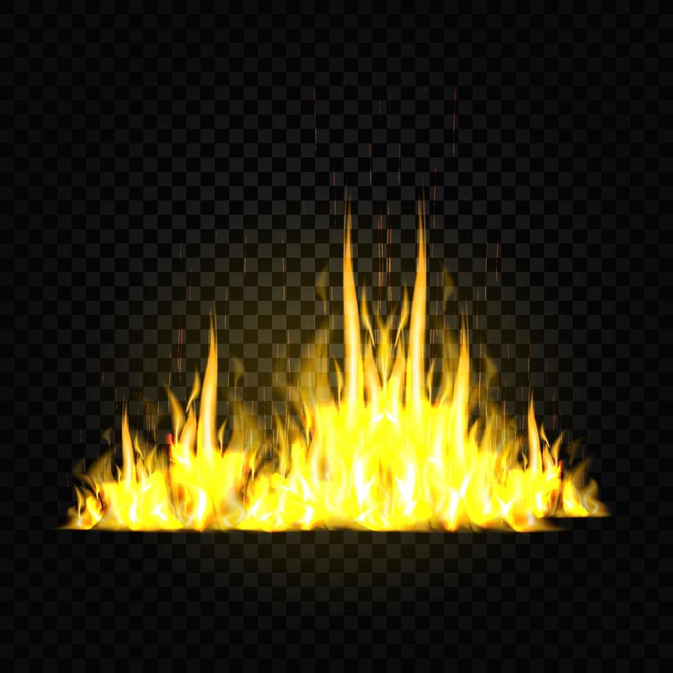 Fire flames isolated on black background vector