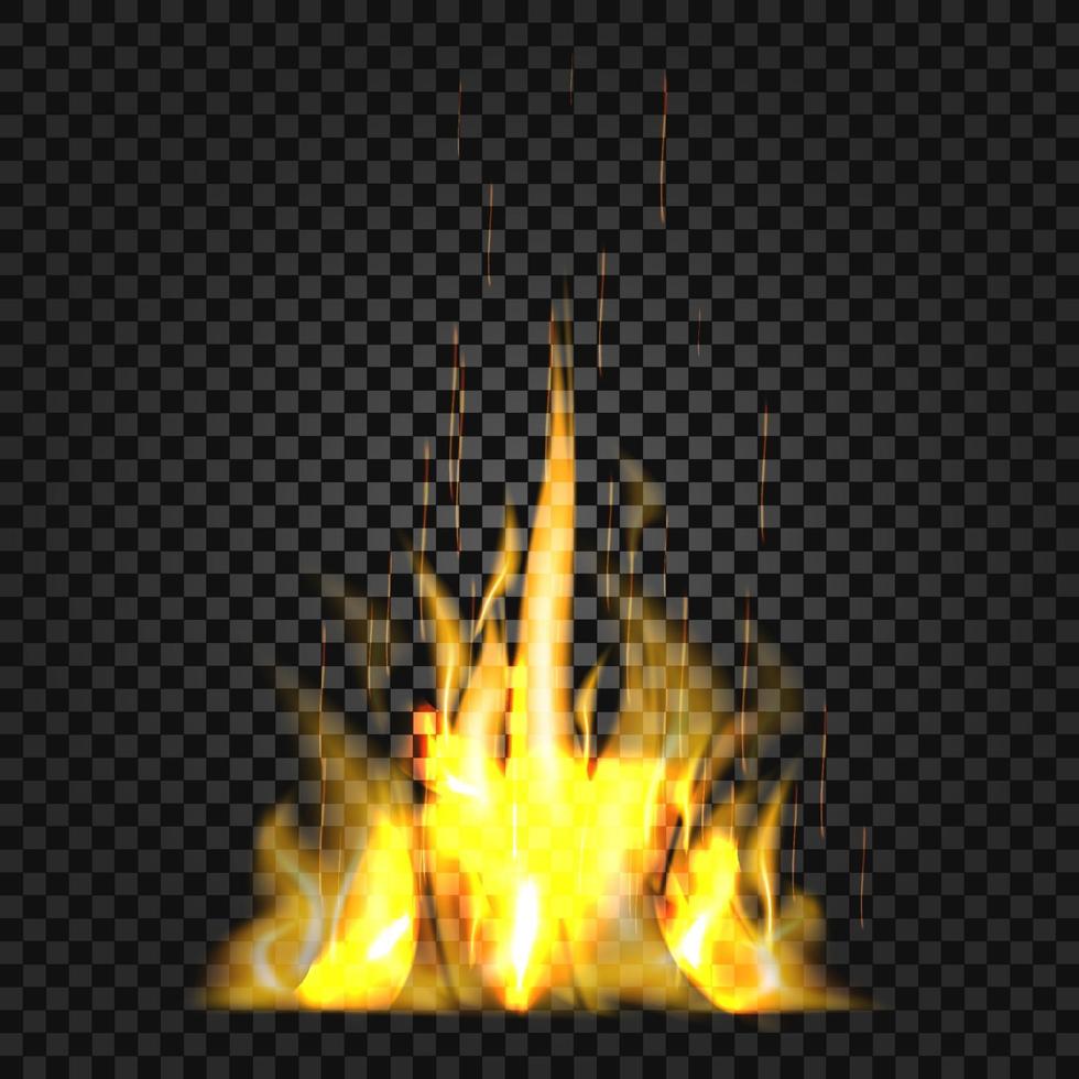 Realistic fire flames on black background vector