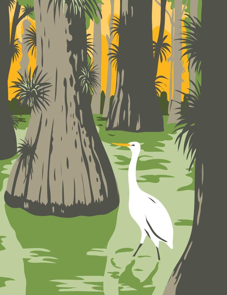 Everglades National Park with Egret in Mangrove and Cypress Trees WPA Poster Art vector