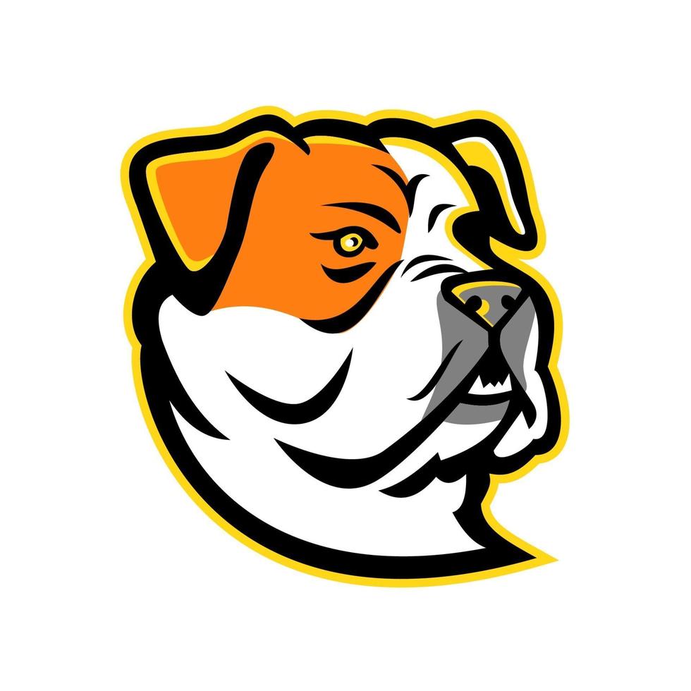 american bulldog head mascot vector