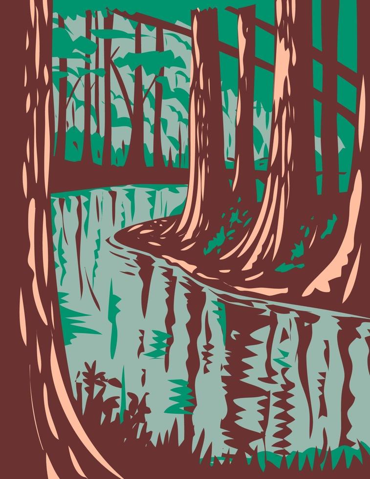 cedar creek en el parque nacional de congaree en el centro de carolina del sur estados unidos de américa wpa poster art vector