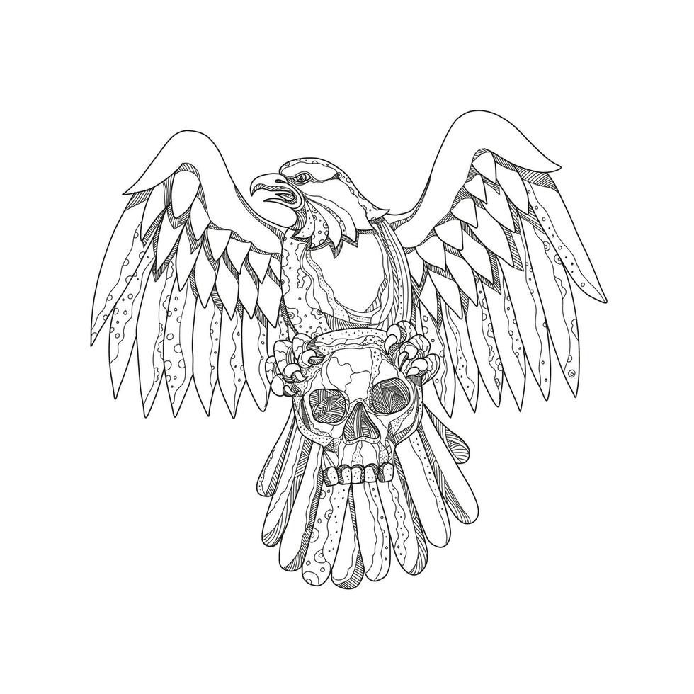 águila americana, agarrando, cráneo, garabato vector