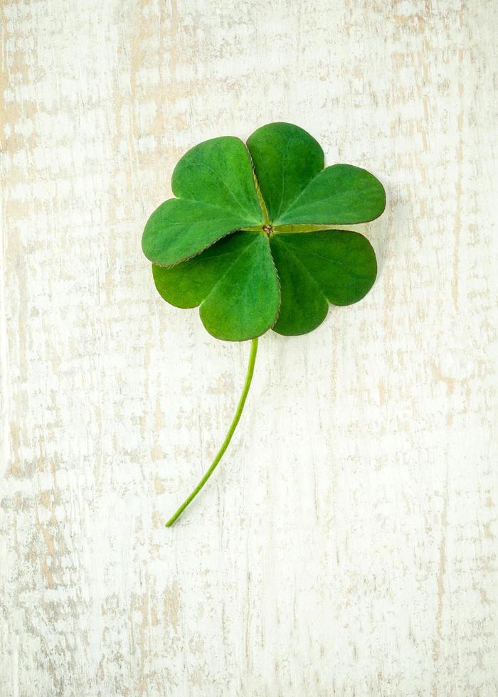 Clover leaves on rustic wooden background photo