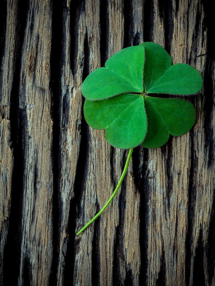 Clover on dark wooden background photo