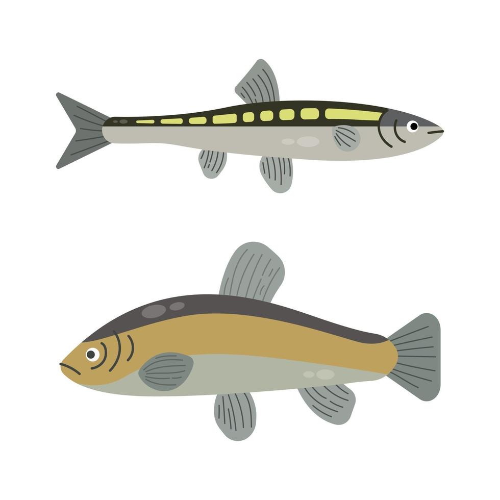 Set of river fish. Fish isolated on white background. Vector illustration.
