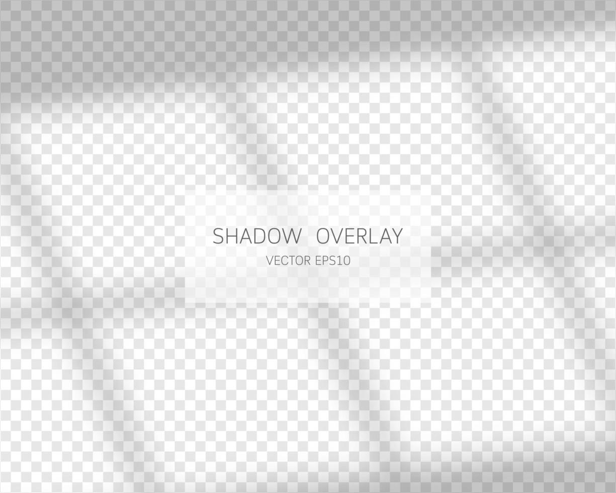 Shadow overlay effect. Natural shadows from window isolated on transparent background. Vector illustration.