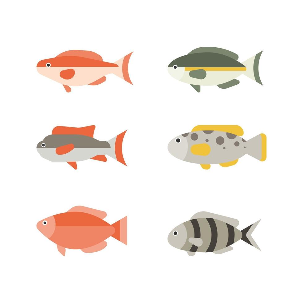 Set of river fish. Fish isolated on white background. Vector illustration.