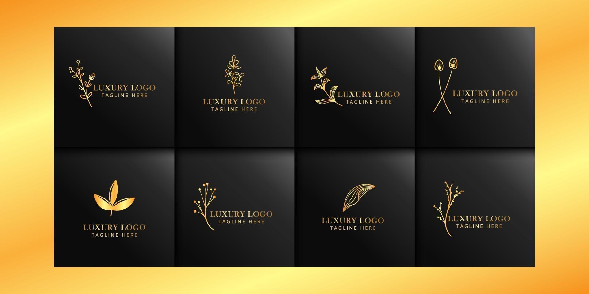 luxury floral logo collections with gold and black vector