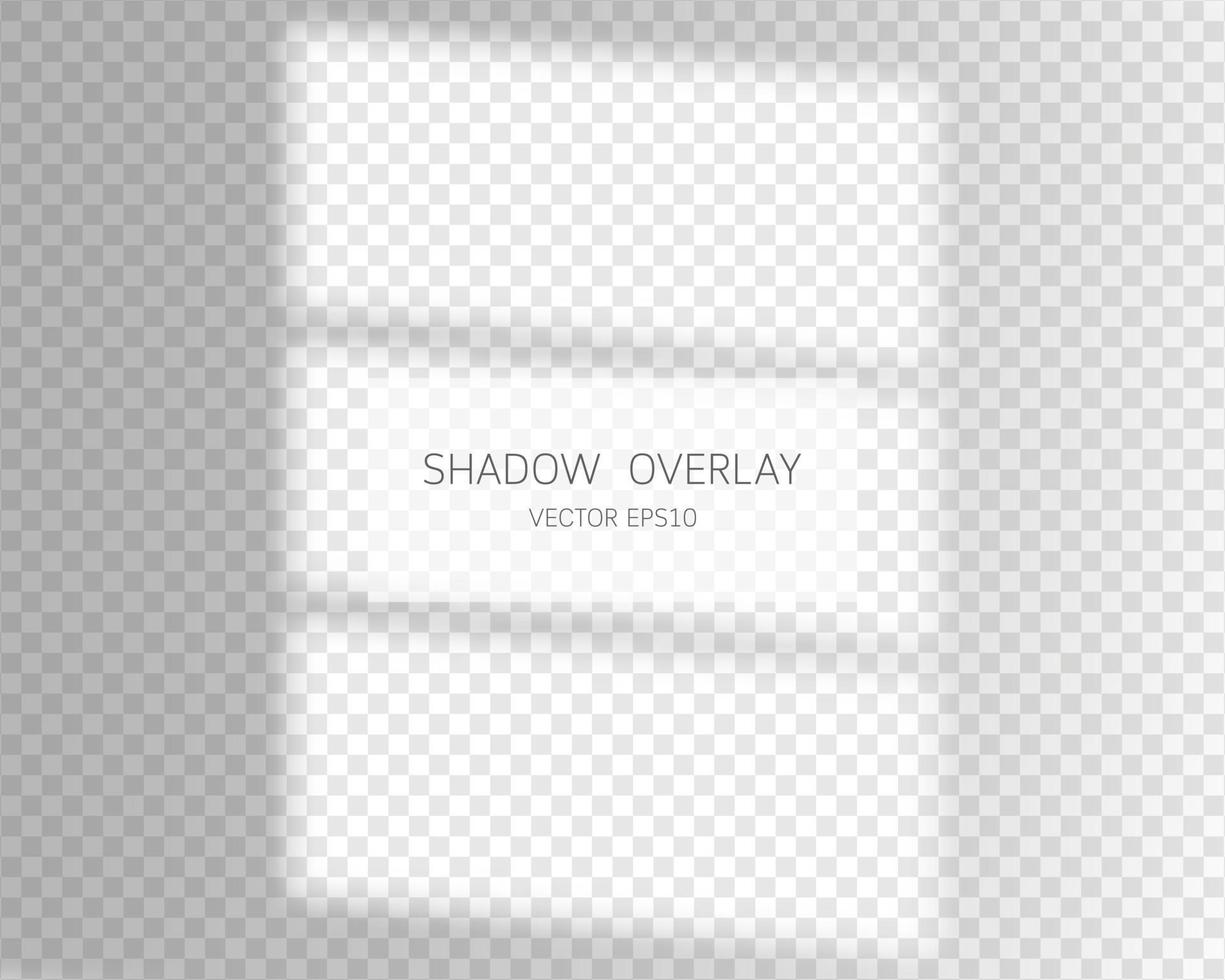 Shadow overlay effect. Natural shadows from window isolated vector