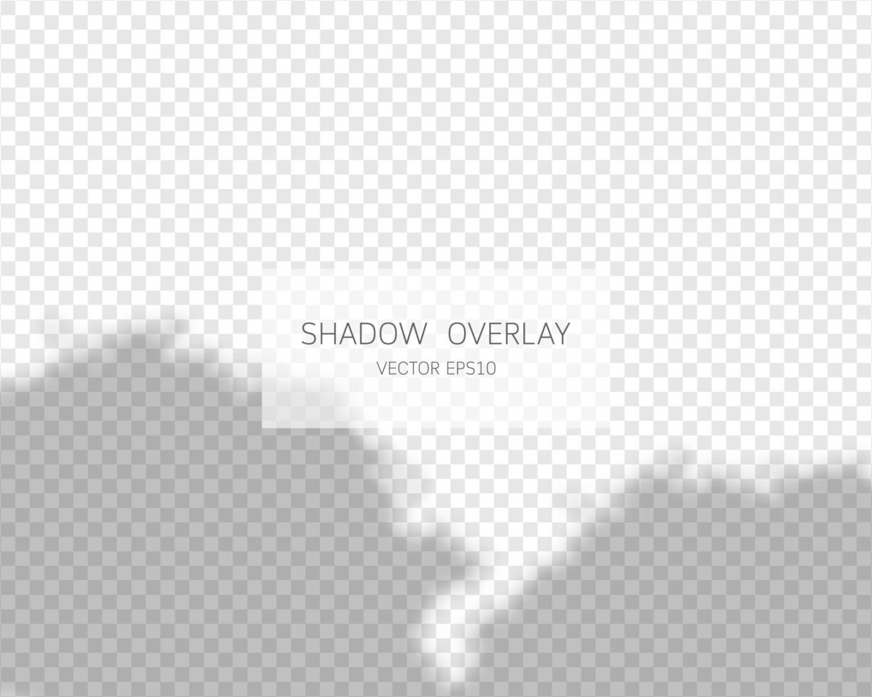 Shadow overlay effect. Natural shadows isolated vector