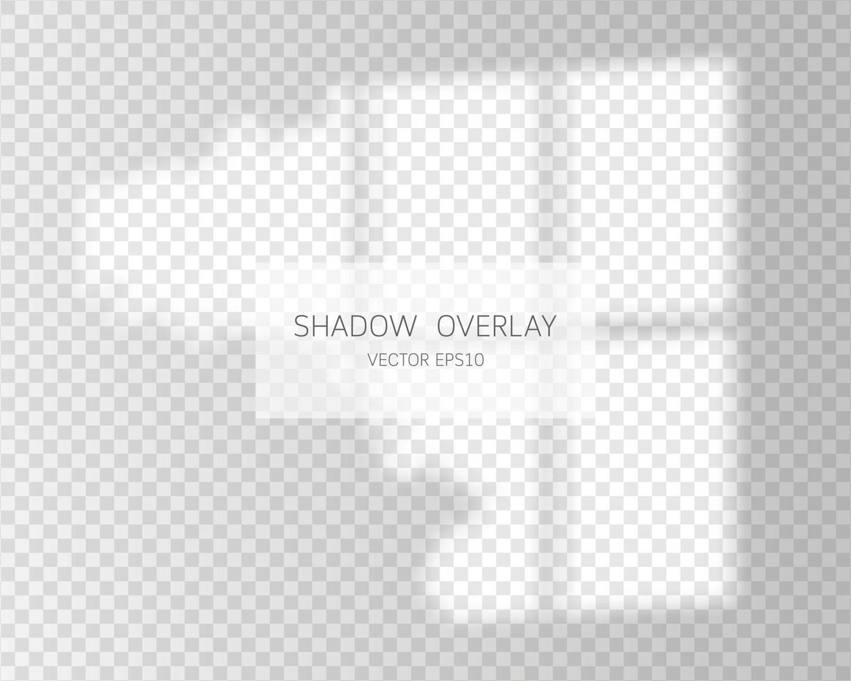 Shadow overlay effect. Natural shadows from window isolated vector