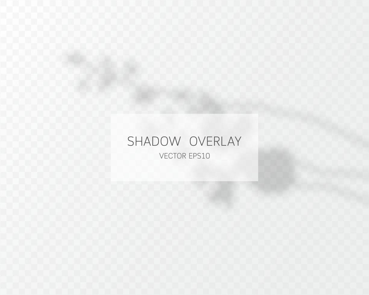 Shadow overlay effect. Natural shadows isolated vector