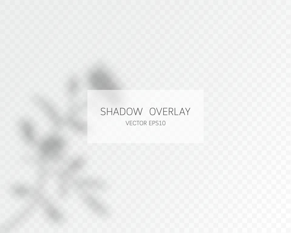 Shadow overlay effect. Natural shadows isolated on transparent vector