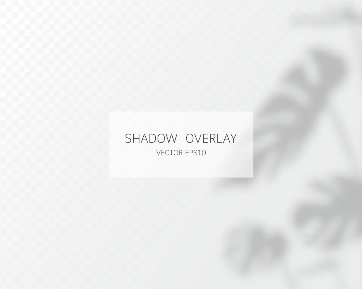 Shadow overlay effect. Natural shadows isolated vector