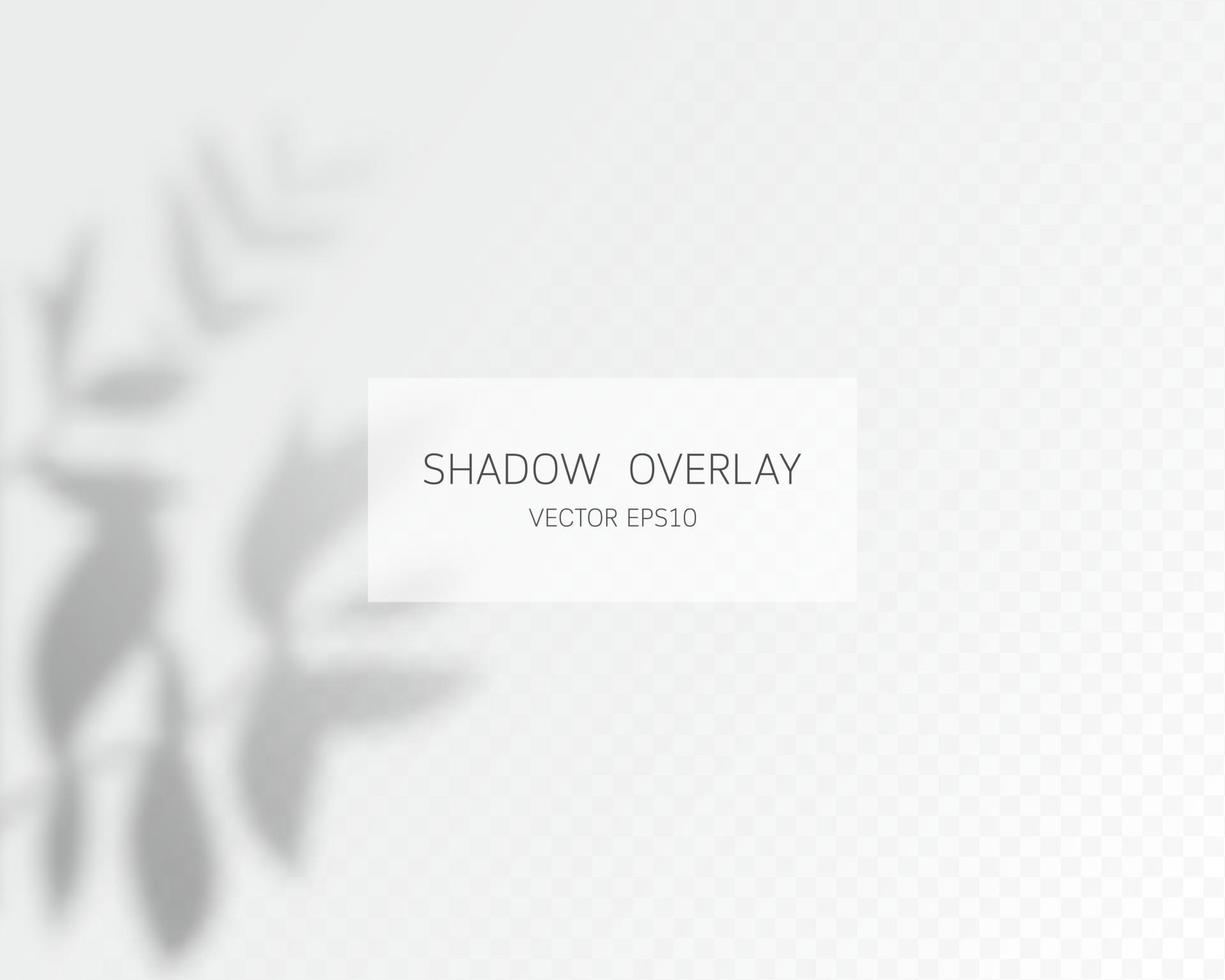 Shadow overlay effect. Natural shadows isolated vector