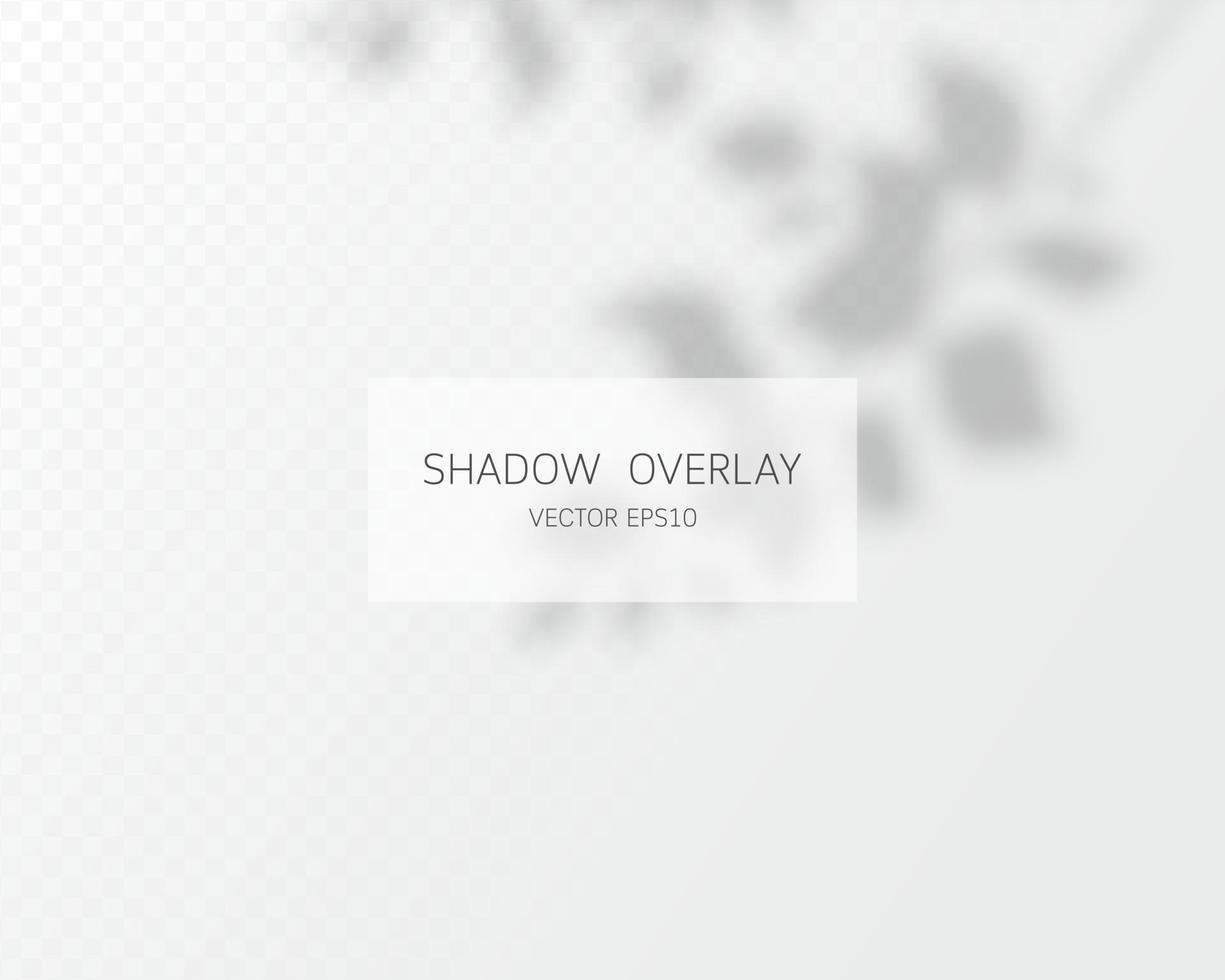 Shadow overlay effect. Natural shadows isolated vector