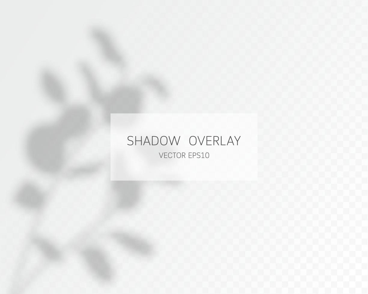 Shadow overlay effect. Natural shadows isolated vector