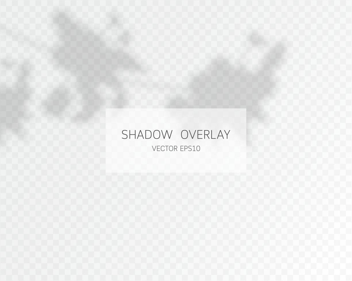 Shadow overlay effect. Natural shadows isolated vector