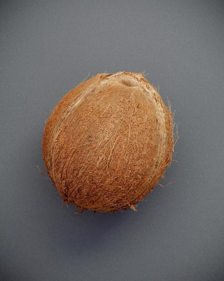 Coconut on a gray background photo
