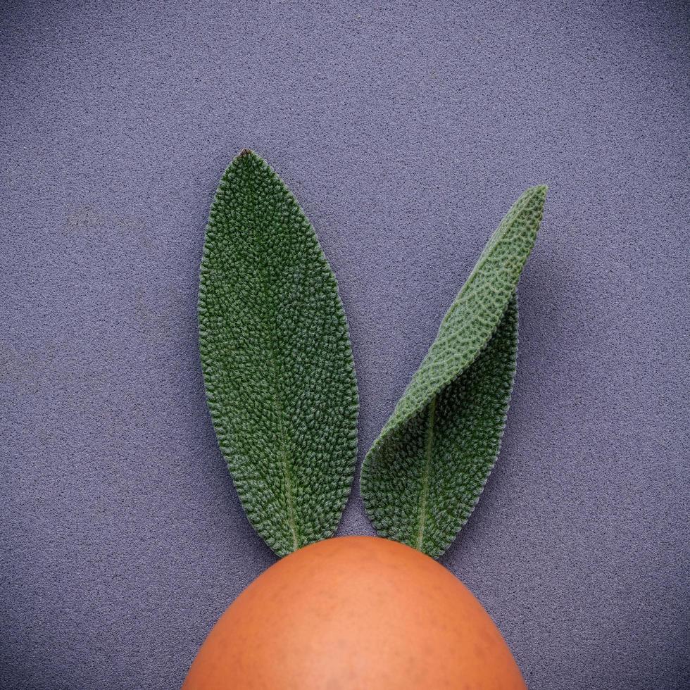 Orange and leaves photo