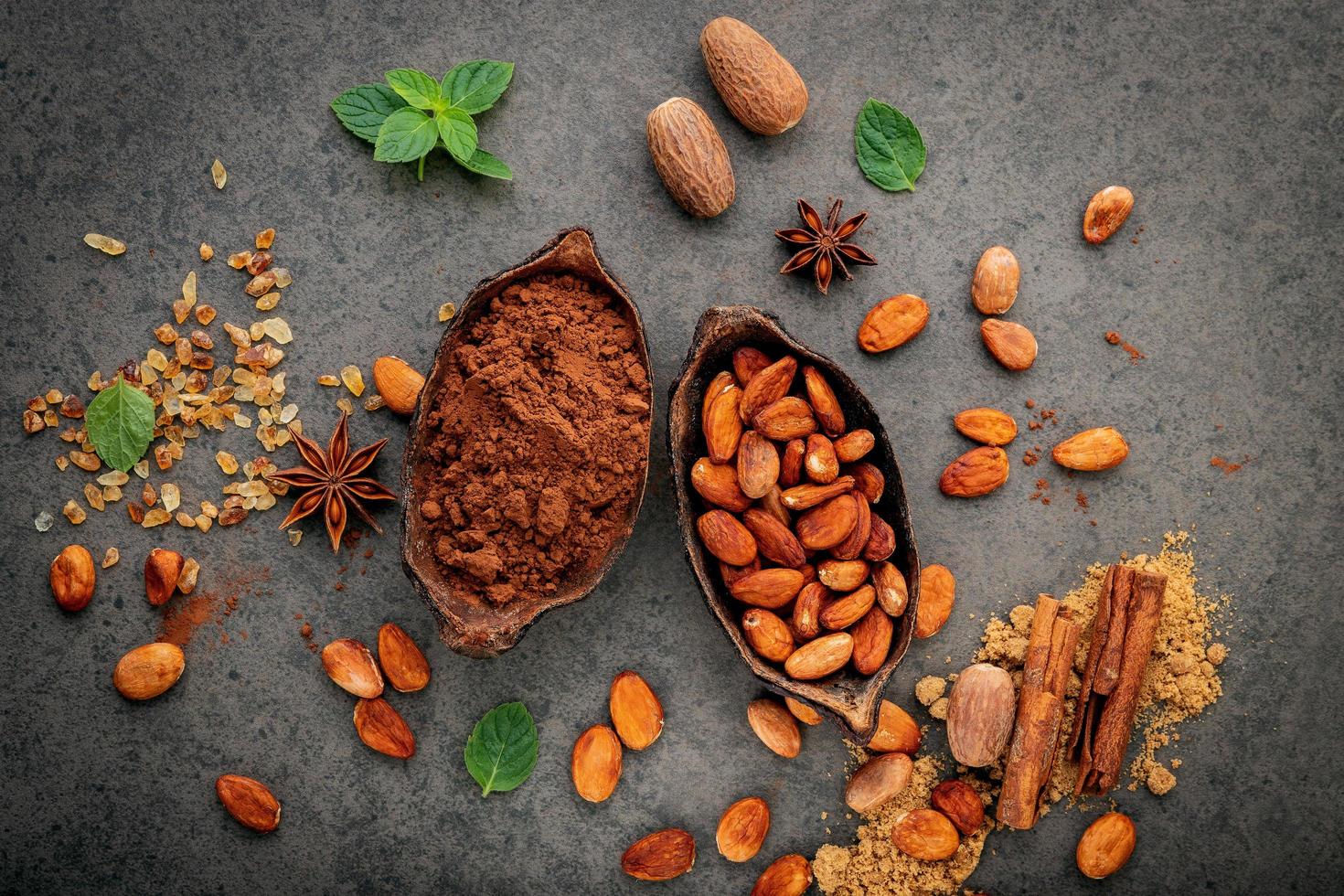 Cocoa powder and cacao beans photo