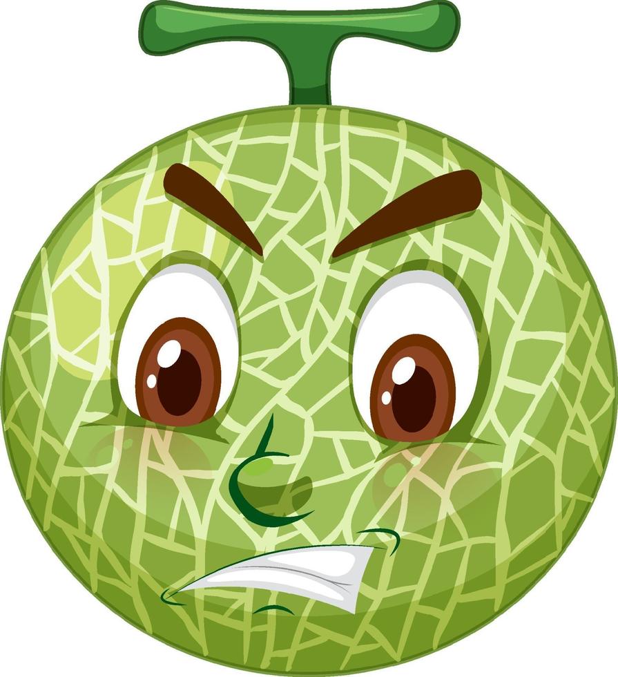 Cantaloupe melon cartoon character with facial expression vector