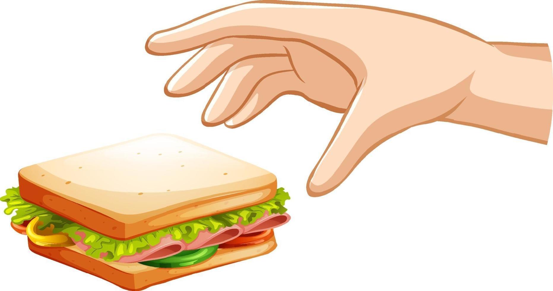 Mano tratando de agarrar sándwich sobre fondo blanco. vector