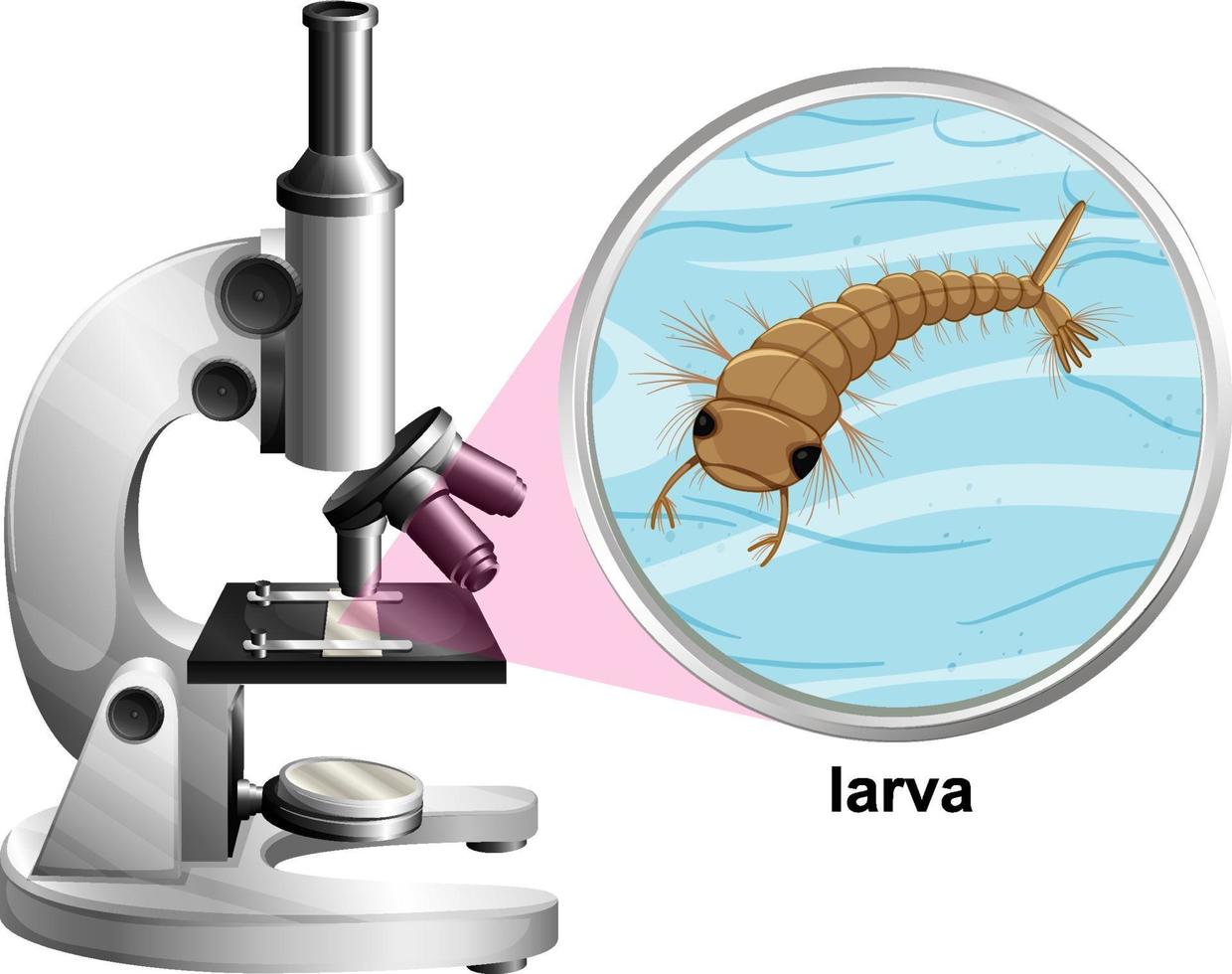 Microscopio con larva de mosquitos sobre fondo blanco. vector