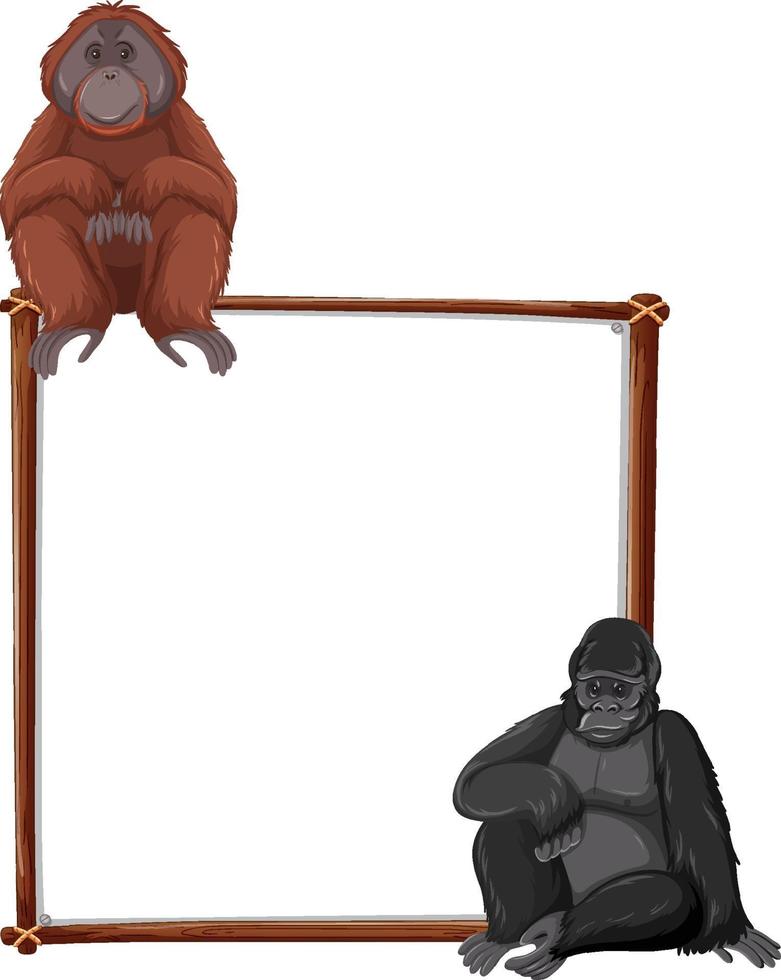 Banner vacío con orangután y gorila sobre fondo blanco. vector