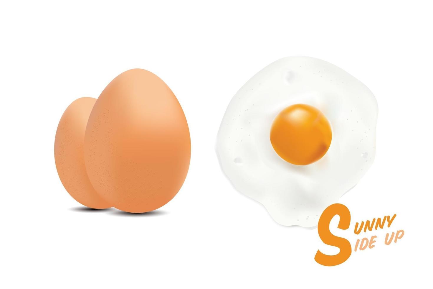 huevos fritos volteados con imagen de huevos crudos, en un nivel de cocción de estilo básico más fácil, ilustración vectorial sobre fondo blanco. vector