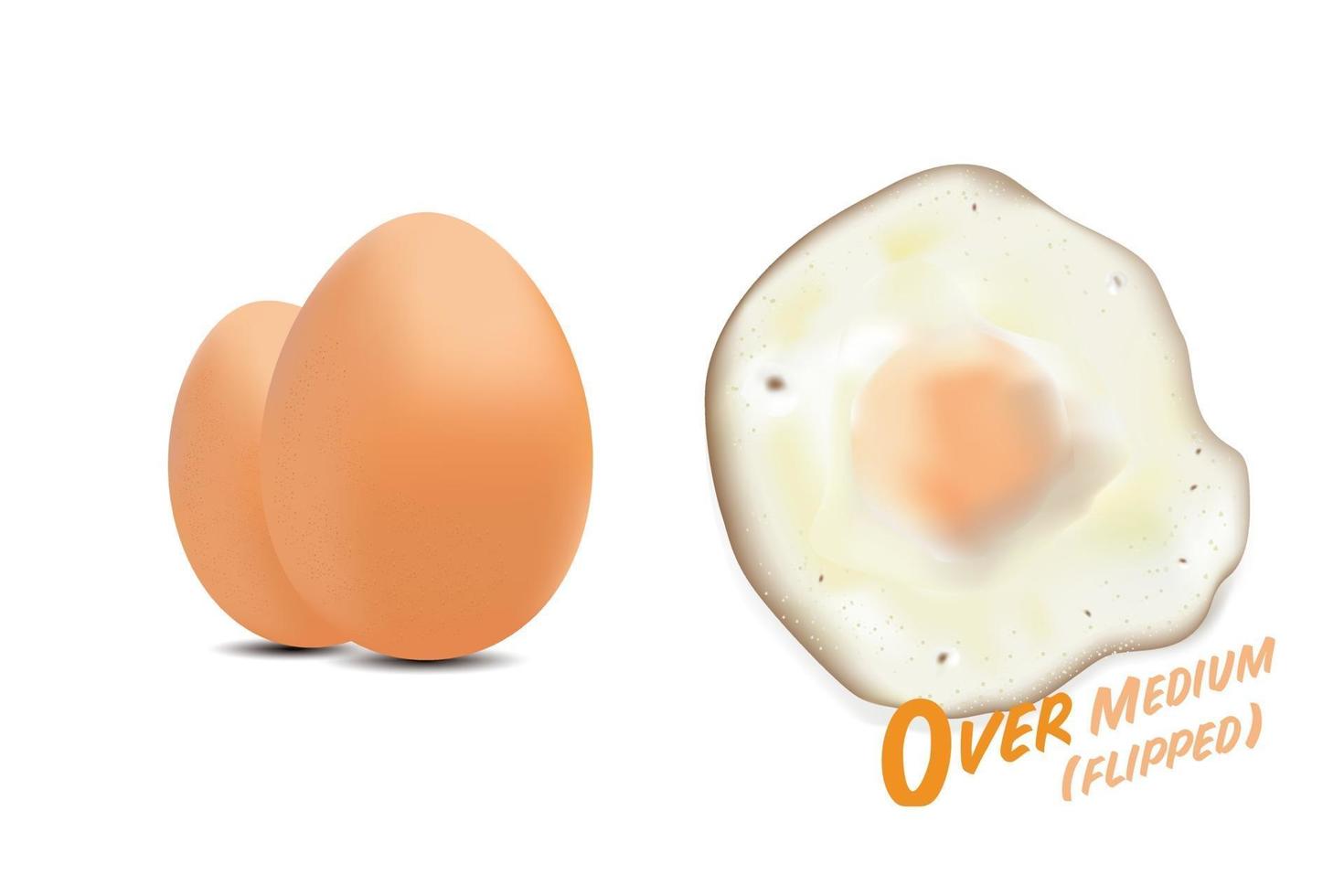 Fried eggs flipped with raw eggs picture, in  over medium basic style level of doneness, vector illustration on white background.