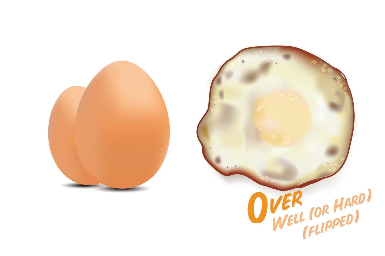 Fried eggs flipped with raw eggs picture, in  over well or over hard basic style level of doneness, vector illustration on white background.